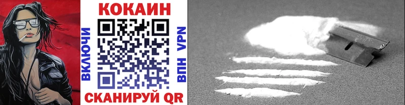 Купить закладки Суджа COCAIN 97%