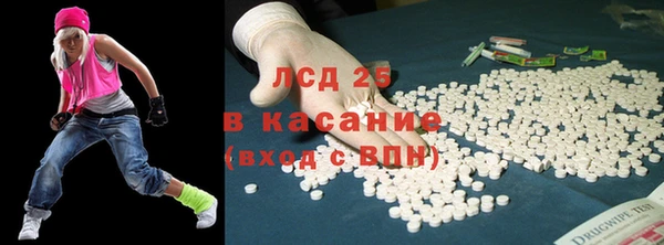 хмурый Арсеньев