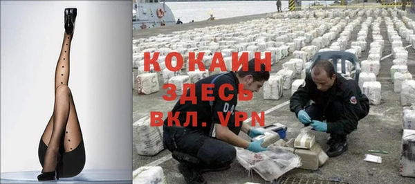 хмурый Арсеньев