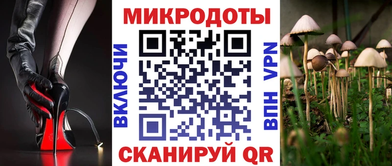 Купить  Суджа  Псилоцибиновые грибы GOLDEN TEACHER 